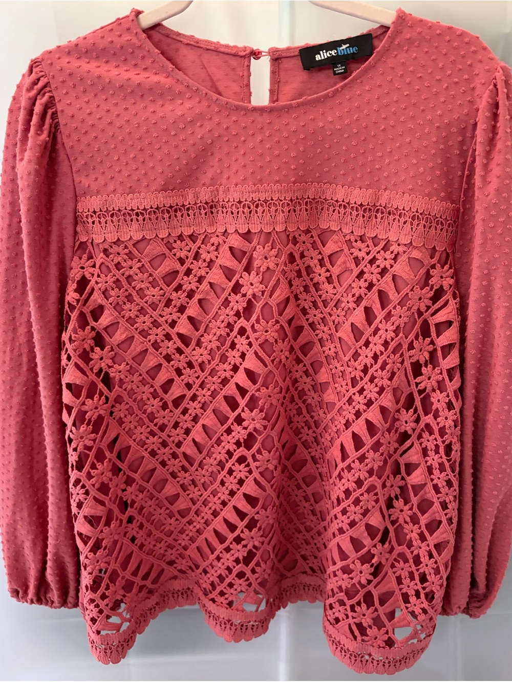 Alice Blue Coral Crochet Lace Long-Sleeve Blouse